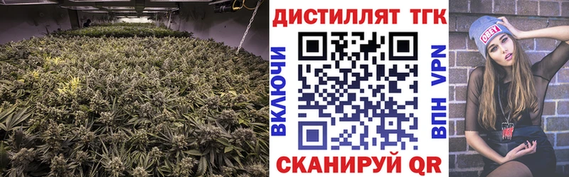 MEGA маркетплейс  где купить   Костерёво  Дистиллят ТГК вейп 